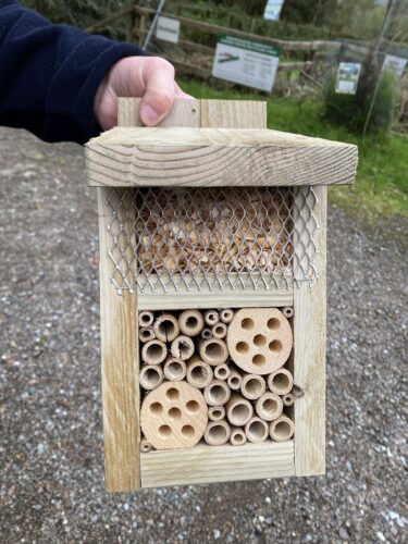 Bughotel A